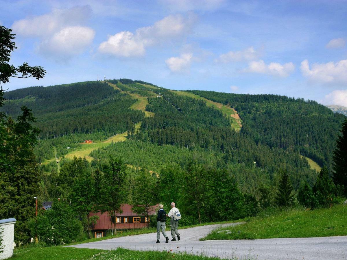 U Kobru Daire Špindlerŭv Mlýn Dış mekan fotoğraf
