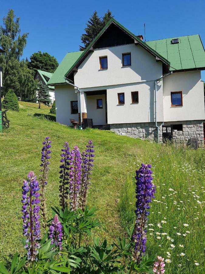 U Kobru Daire Špindlerŭv Mlýn Dış mekan fotoğraf